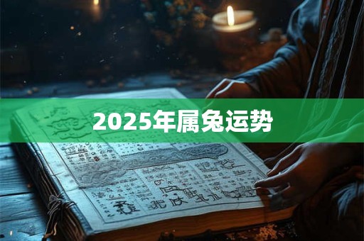 2025年属兔运势