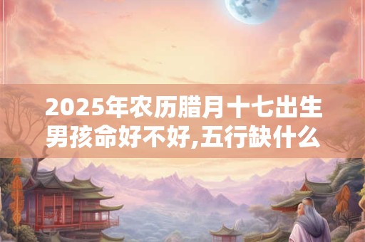 2025年农历腊月十七出生男孩命好不好,五行缺什么？
