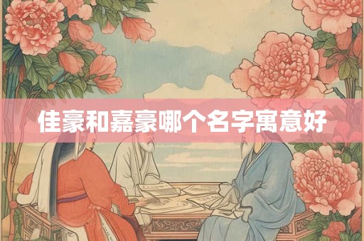 佳豪和嘉豪哪个名字寓意好