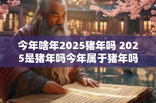 今年啥年2025猪年吗 2025是猪年吗今年属于猪年吗