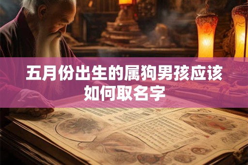 五月份出生的属狗男孩应该如何取名字