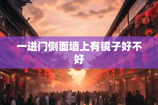 一进门侧面墙上有镜子好不好