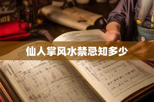 仙人掌风水禁忌知多少