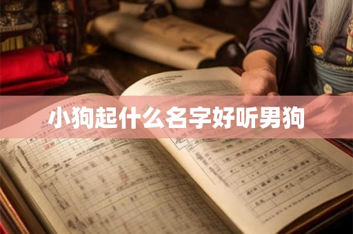 坤卦可以预示哪些事 坤卦有何预示作用