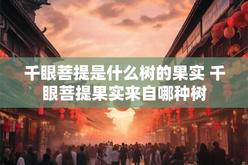 千眼菩提是什么树的果实 千眼菩提果实来自哪种树
