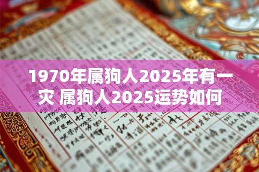 1970年属狗人2025年有一灾 属狗人2025运势如何