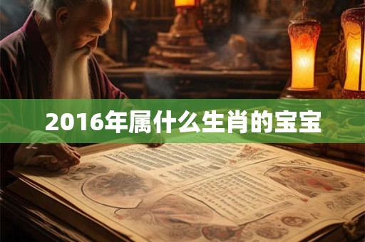 2016年属什么生肖的宝宝