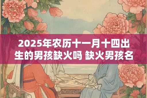 2025年农历十一月十四出生的男孩缺火吗 缺火男孩名字用的字