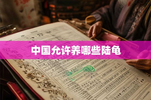 中国允许养哪些陆龟