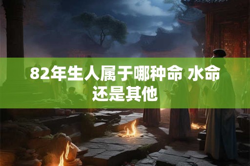 82年生人属于哪种命 水命还是其他