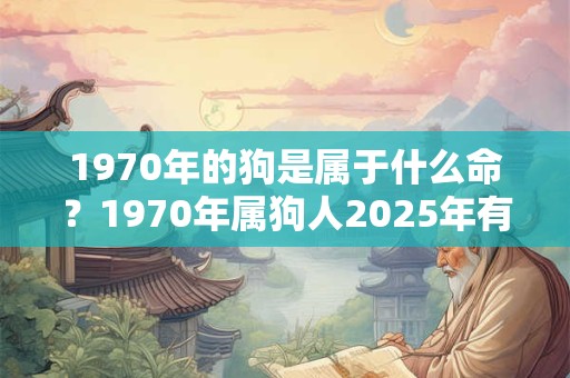 1970年的狗是属于什么命？1970年属狗人2025年有一灾？