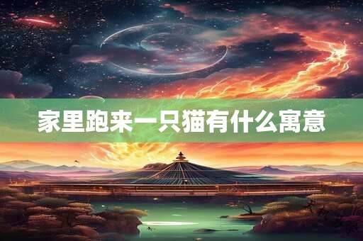家里跑来一只猫有什么寓意