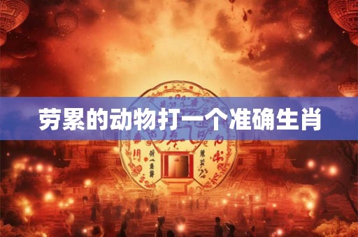 劳累的动物打一个准确生肖