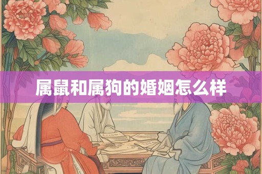 属鼠和属狗的婚姻怎么样
