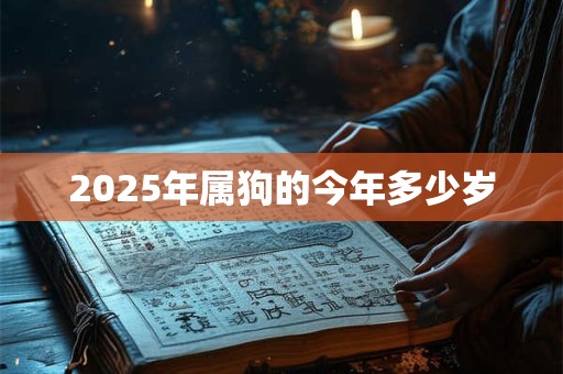 2025年属狗的今年多少岁