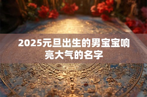 2025元旦出生的男宝宝响亮大气的名字
