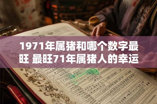 1971年属猪和哪个数字最旺 最旺71年属猪人的幸运数字
