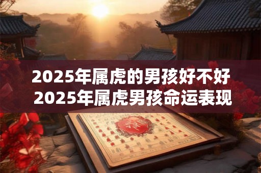 2025年属虎的男孩好不好 2025年属虎男孩命运表现