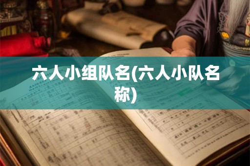 六人小组队名(六人小队名称)
