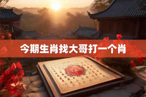 今期生肖找大哥打一个肖