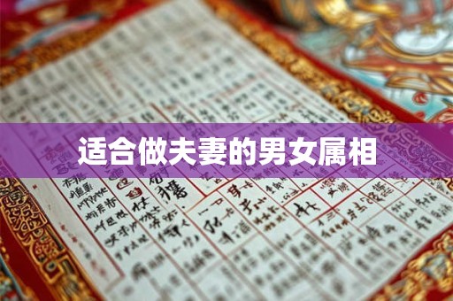 晚景凄凉的女人下巴面相 这位下巴面相凄凉的女人的晚年将会如何度过