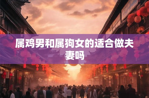 属鸡男和属狗女的适合做夫妻吗