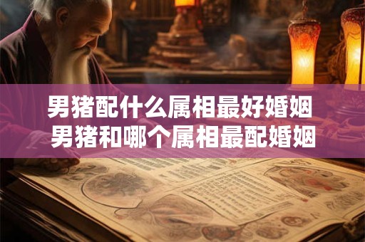 男猪配什么属相最好婚姻 男猪和哪个属相最配婚姻
