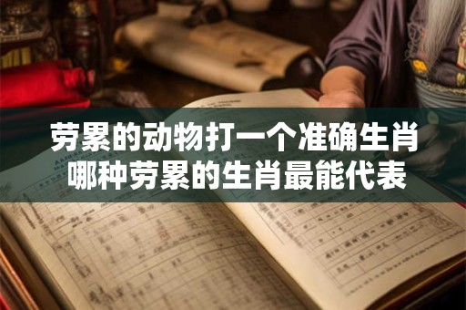 劳累的动物打一个准确生肖 哪种劳累的生肖最能代表动物的奋斗精神