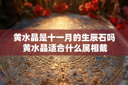 黄水晶是十一月的生辰石吗 黄水晶适合什么属相戴