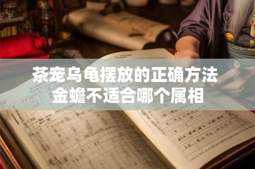 茶宠乌龟摆放的正确方法 金蟾不适合哪个属相
