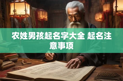 农姓男孩起名字大全 起名注意事项