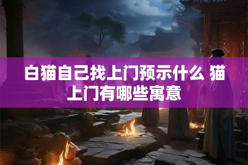 白猫自己找上门预示什么 猫上门有哪些寓意