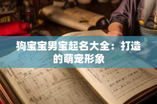 狗宝宝男宝起名大全：打造的萌宠形象