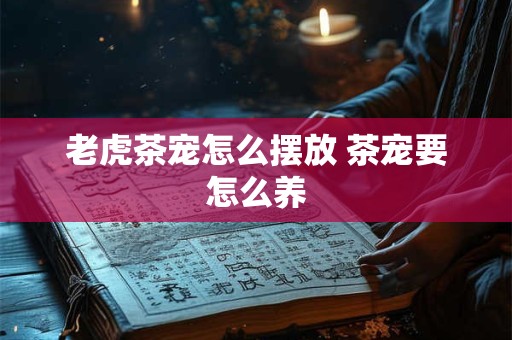 老虎茶宠怎么摆放 茶宠要怎么养