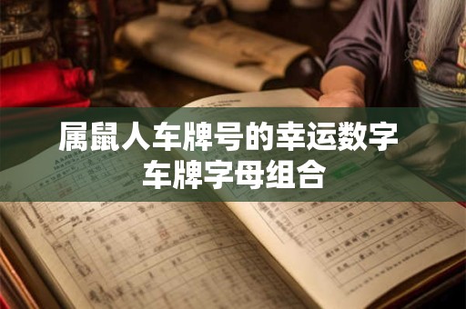 属鼠人车牌号的幸运数字 车牌字母组合