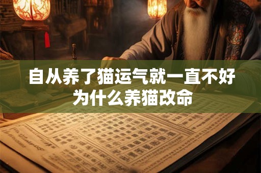 自从养了猫运气就一直不好 为什么养猫改命