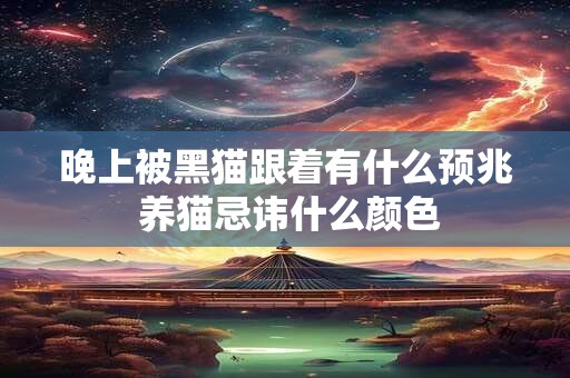 晚上被黑猫跟着有什么预兆 养猫忌讳什么颜色
