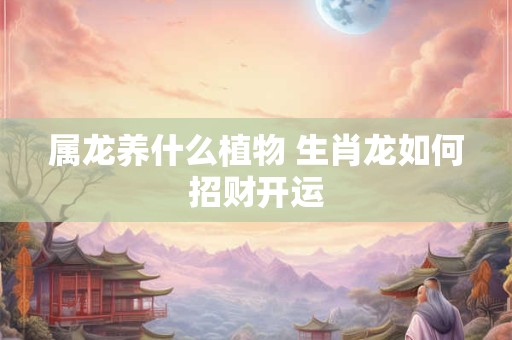 属龙养什么植物 生肖龙如何招财开运