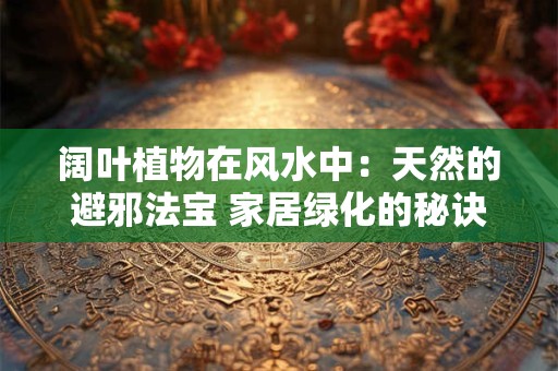 阔叶植物在风水中：天然的避邪法宝 家居绿化的秘诀