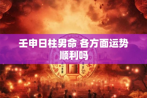 壬申日柱男命 各方面运势顺利吗