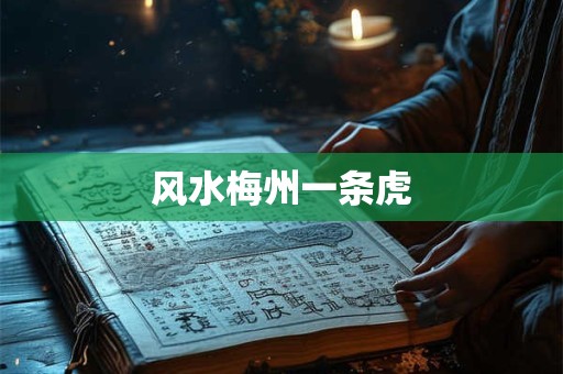 风水梅州一条虎