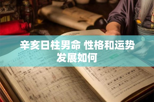 辛亥日柱男命 性格和运势发展如何