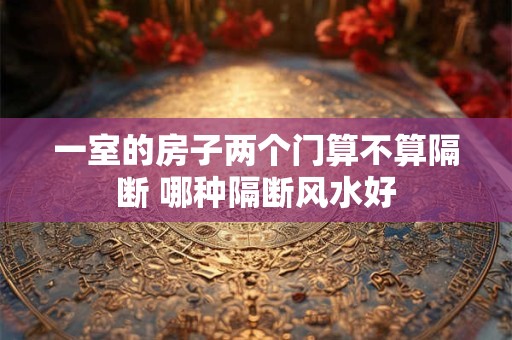 一室的房子两个门算不算隔断 哪种隔断风水好