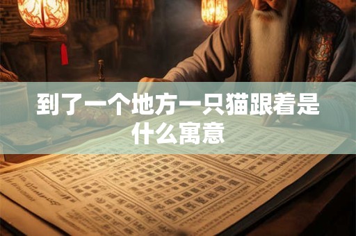 到了一个地方一只猫跟着是什么寓意