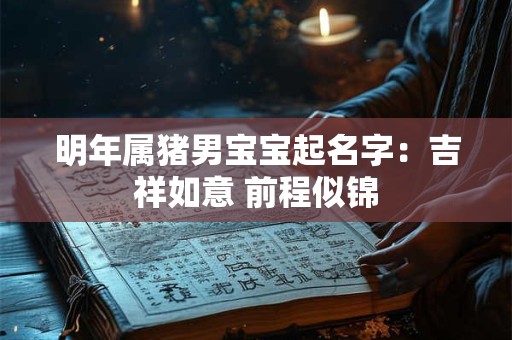 明年属猪男宝宝起名字：吉祥如意 前程似锦