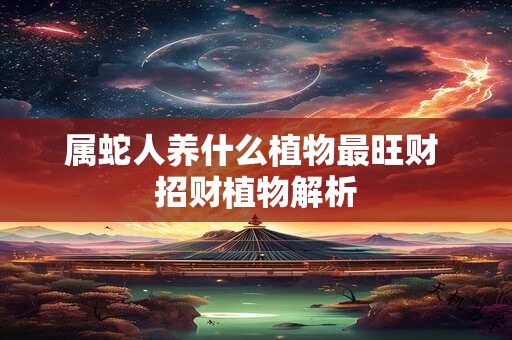 属蛇人养什么植物最旺财 招财植物解析