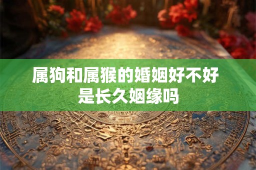 属狗和属猴的婚姻好不好 是长久姻缘吗