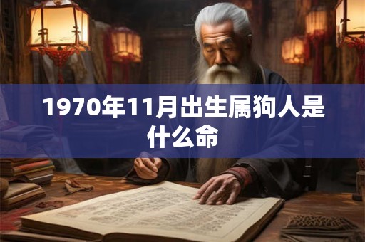 1970年11月出生属狗人是什么命