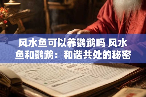 风水鱼可以养鹦鹉吗 风水鱼和鹦鹉：和谐共处的秘密
