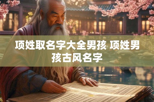 项姓取名字大全男孩 项姓男孩古风名字